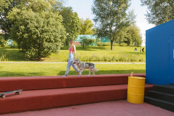 Chien détecteur de punaise de lit : comparer les tarifs à paris